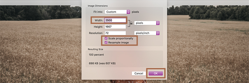How To Resize An Image in Preview On Mac